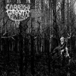 Carrion Wraith : Carrion Wraith